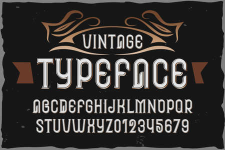 Vintage vector label font for logoのイラスト素材