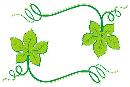 Wine label design elementのイラスト素材