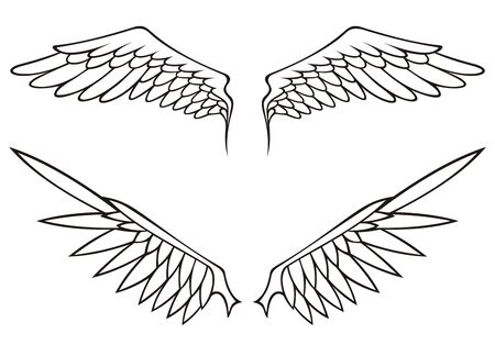 Two pairs of white open angel or bird wings isolated on white background.のイラスト素材