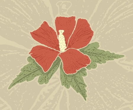 Red hibiscus flower with grunge shading on grunge beige background.のイラスト素材