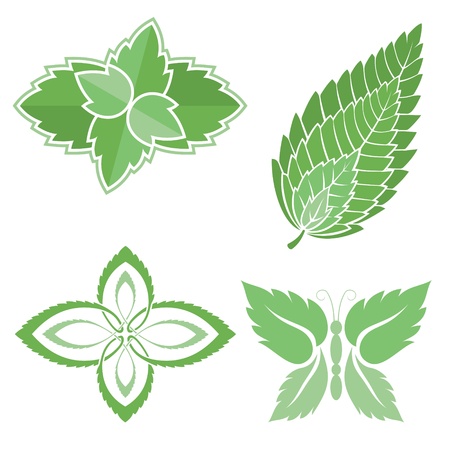 Four green mint leaves icons isolated on white background.のイラスト素材
