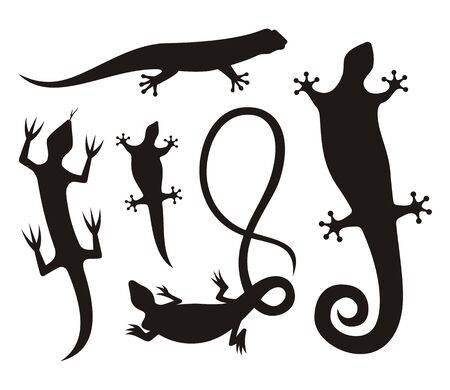 Five lizard silhouette icons isolated on white background.のイラスト素材