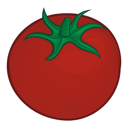 Red ripe tomato icon with woodcut shading isolated on white background.のイラスト素材