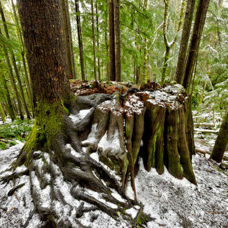 Old and Newの写真素材