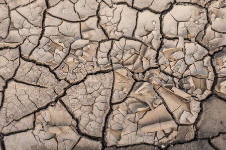 Very dry dirt creating interesting textureの写真素材