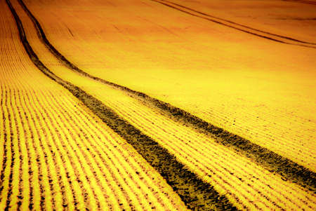 Summer Impressionの写真素材