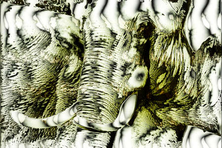  Abstract Graphic Art