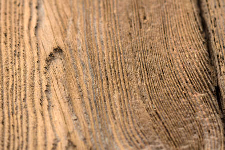Wooden Wallの写真素材