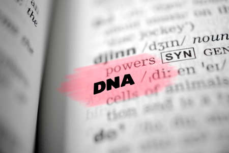Text DNA as background