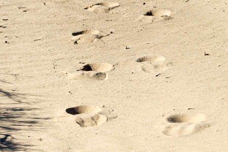 Footprints on yellow sand horizontal imageの写真素材