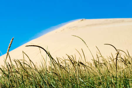 Sand dunes of Rubjerg Knude in Denmarkの写真素材