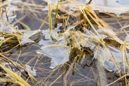 The forms of water in winter
