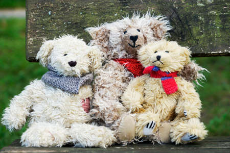 Teddy bears as cuddly friendsの写真素材