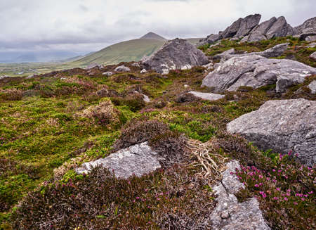 Mountains near Clogher, Dingle, on a stormy and cloudy day.の写真素材