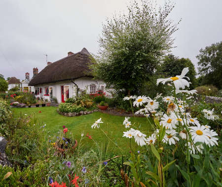 Traditional thatched cottage with a beautiful garden in Adare, Irelandの写真素材