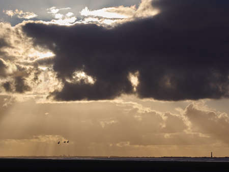 Clouds, birds and a lighthouse