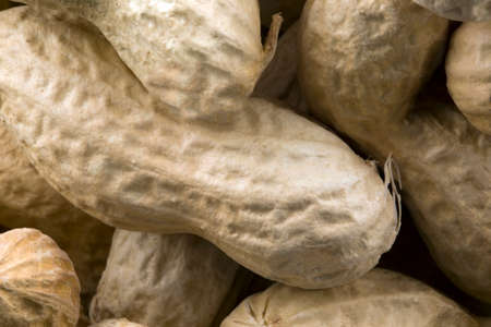 peanuts close upの写真素材