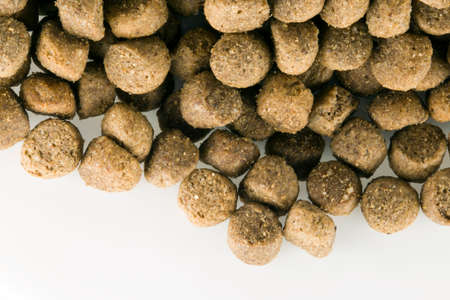 Food for animals