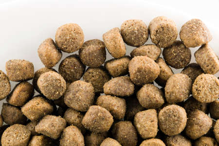 Food for dogs