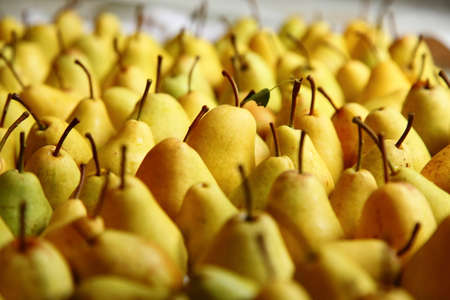 Fresh ripe yellow pearsの写真素材