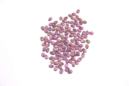 Watermelon seeds close-up with neutral background in studio