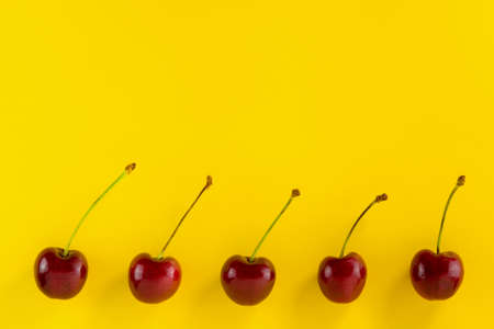 Row of red cherries as low frame on yellow background with copy space. Design for label, greeting card, poster.の写真素材