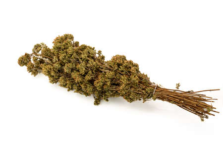 Bunch of dried oregano isolated on white, typical aromatic herb of southern Italy cuisine and for pizzaの写真素材