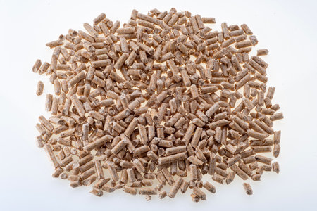 Wood pellets on white background in top view