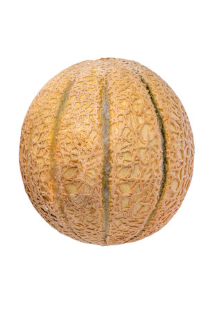 Cantaloupe melon isolated on white with clipping path included
