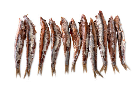 Salted anchovies isolated on whites with clipping path includedの写真素材