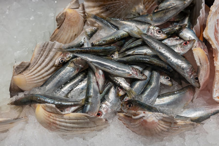 Fresh anchovies displayed in scallop shells on ice in the fishery counter