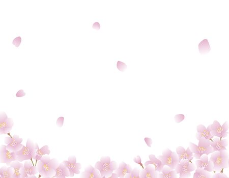 Background painted with cherry petals falling vectorのイラスト素材