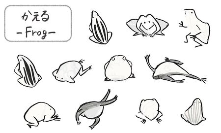 Hand drawn Japanese traditional cute flog 
illustrations written with a brushの写真素材