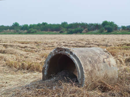 Defective cement pipe on the field.の写真素材