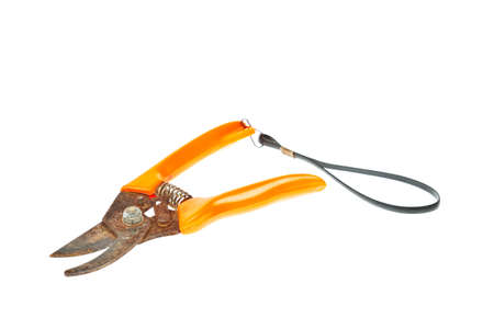 scissors, Old pruning shearsの写真素材