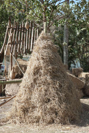 Pile of rice straw as triangleのeditorial素材