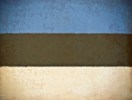 old grunge paper with Estonia flag background