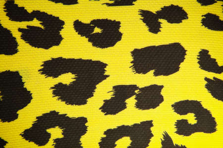 leopard or jaguar pattern background