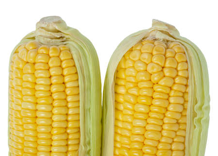 corn cobの写真素材