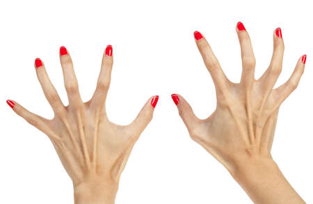 Halloween handの写真素材