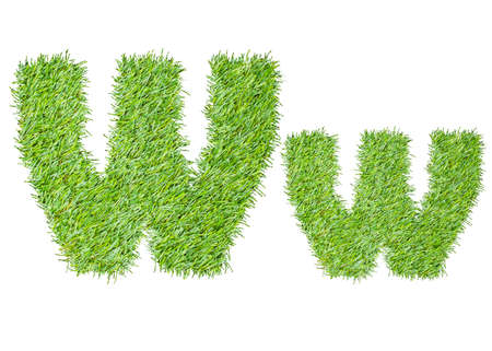Alphabet from the green grass. isolated on whiteの写真素材