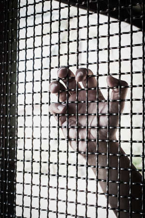Hand and mesh cage for freedomの写真素材
