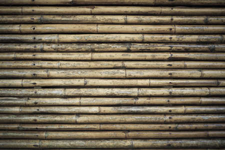 bamboo fence の写真素材