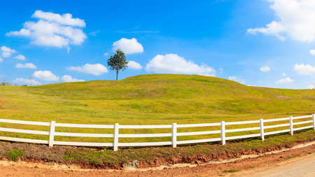 green hill summer landscape panoramaの写真素材