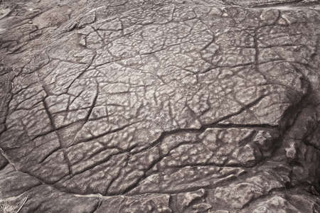 stone texture backgroundの写真素材