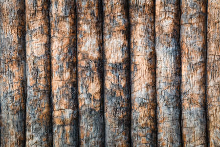 timber or wooden planks wall, pattern texture as backgroundの写真素材
