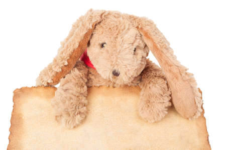 Rabbit, holding old grunge canvas fabric burn edge for happy easter eggs festival on white backgroundの写真素材