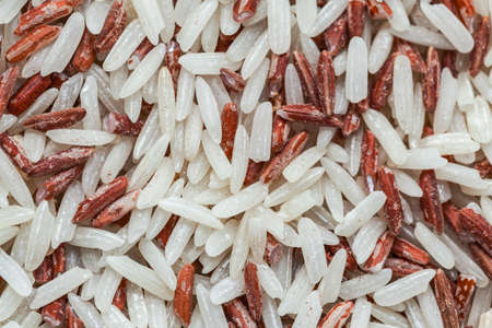 Brown Rice, destroyed by Red flour beetle, science names "Tribolium castaneum" or weevil are on brown rice, closeupの写真素材