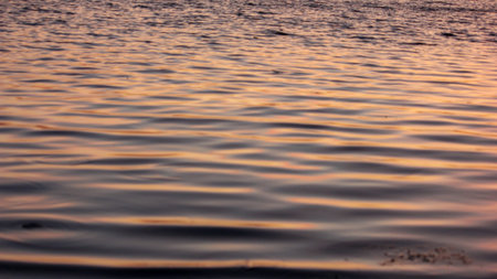 Close-up of calm water surface reflecting warm colors of a sunset or sunrise. Gentle ripples create an abstract pattern of light and shadow, with shades of orange, yellow, and blue-grey.の写真素材