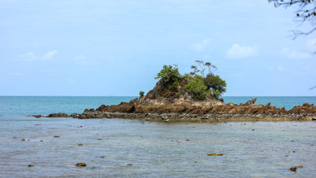A small, uninhabited rocky island covered with lush green vegetation, emerging from the clear blue-green waters of the tropical sea under a bright sky. The coastline features rugged rocks and calm, shallow water in the foreground.のeditorial素材